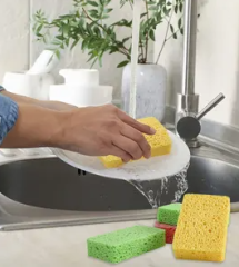 Sponges & Scouring Pads